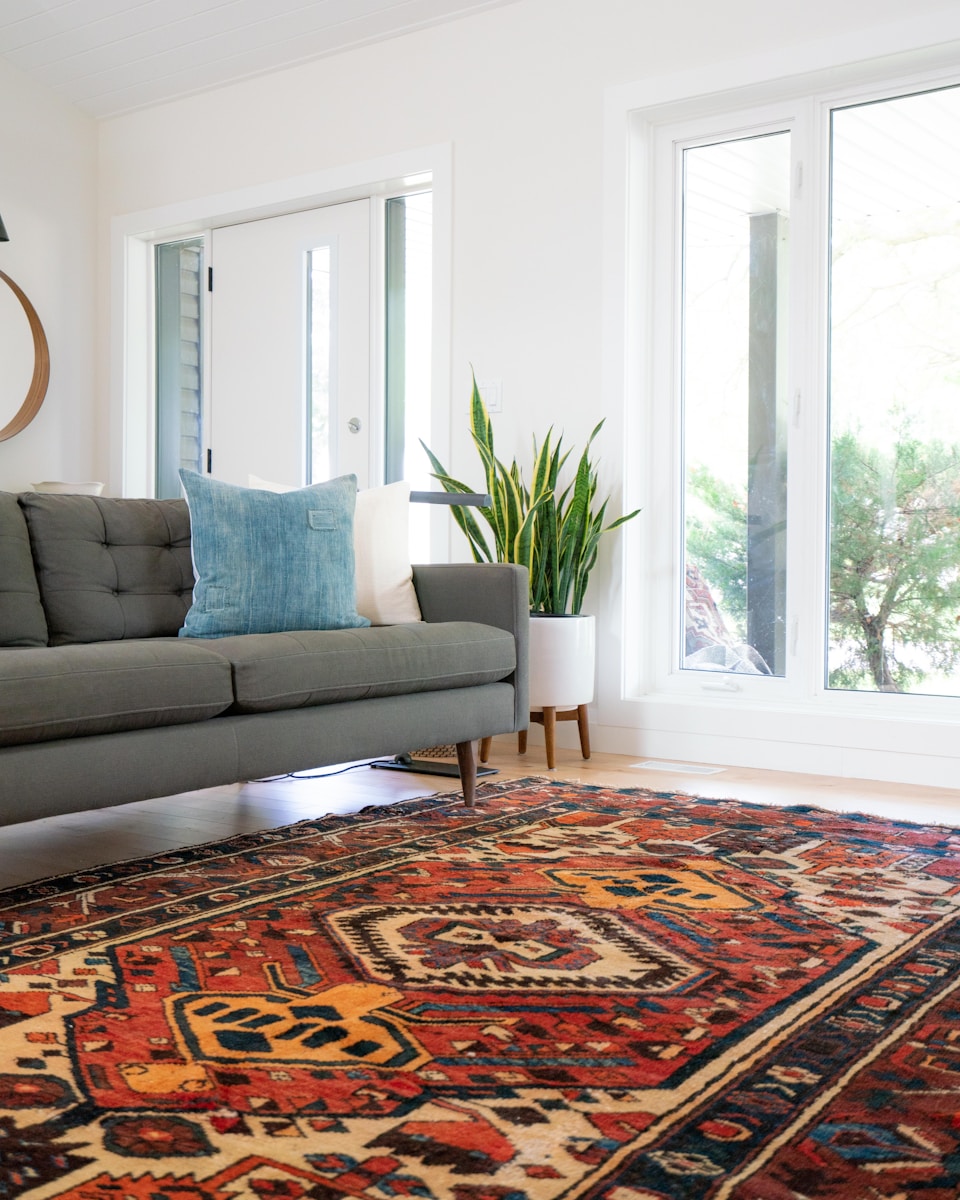 Carpet Cleaning in San Antonio: Choosing Between DIY and Professional Cleaning