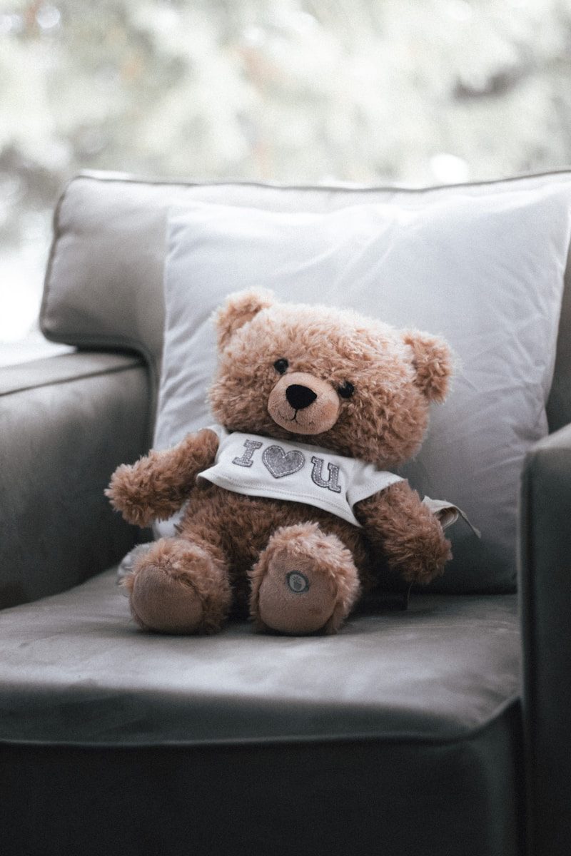 Picking a Soft Toy Gift in Lithuania That Truly Stands Out